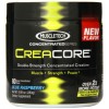 CreaCore (293г)