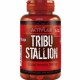 TRIBU STALLION (60капс)