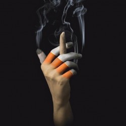 Покуримка? Вся правда о курении в бодибилдинге Покуримка? Вся правда о курении в бодибилдинге