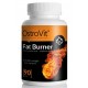 Fat Burner (90таб)