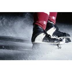Конькобежный спорт Конькобежный спорт
